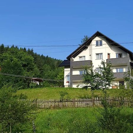 Casa Danci Centru Villa Borşa Eksteriør billede
