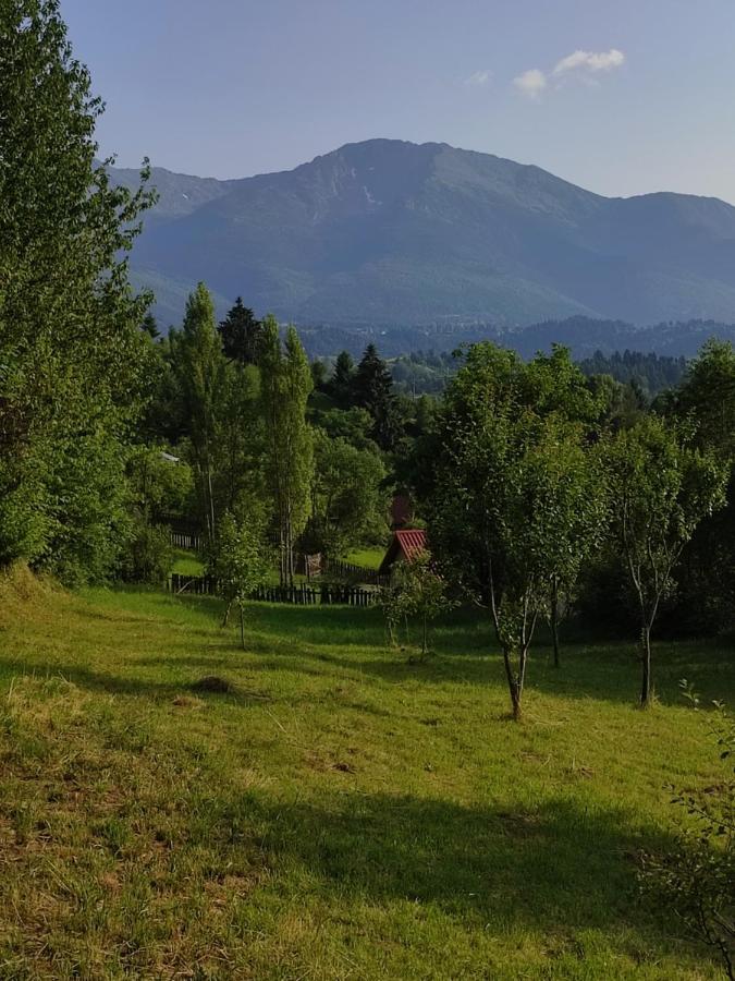 Casa Danci Centru Villa Borşa Eksteriør billede