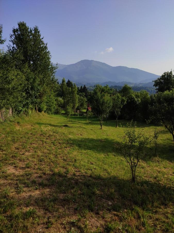 Casa Danci Centru Villa Borşa Eksteriør billede