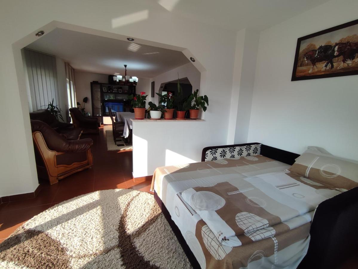 Casa Danci Centru Villa Borşa Eksteriør billede