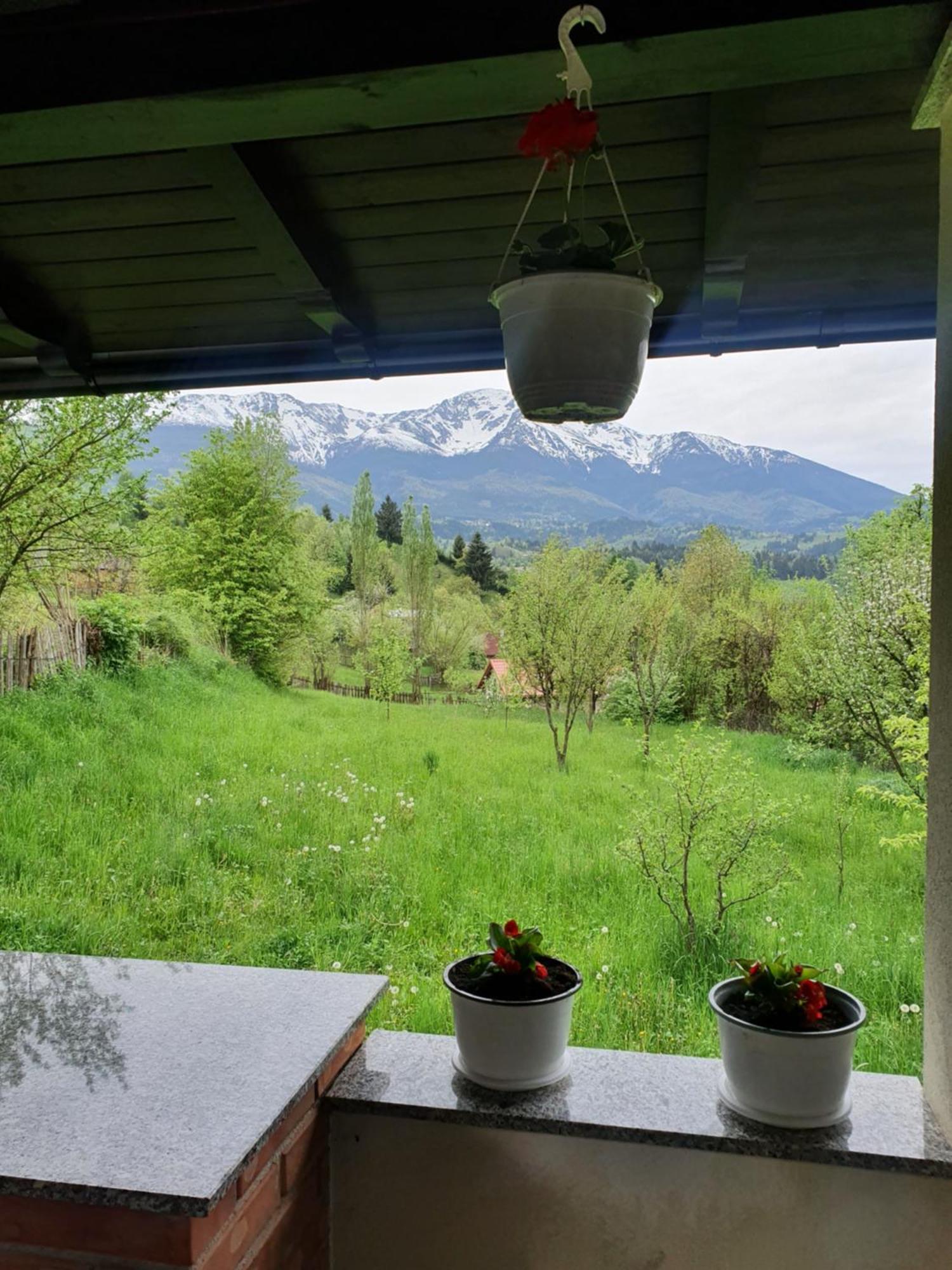 Casa Danci Centru Villa Borşa Værelse billede