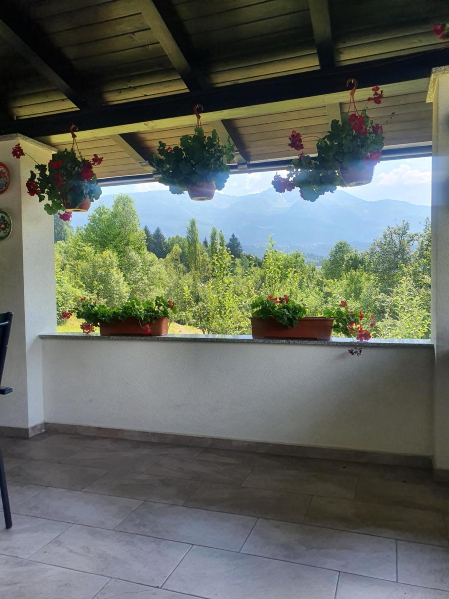 Casa Danci Centru Villa Borşa Eksteriør billede